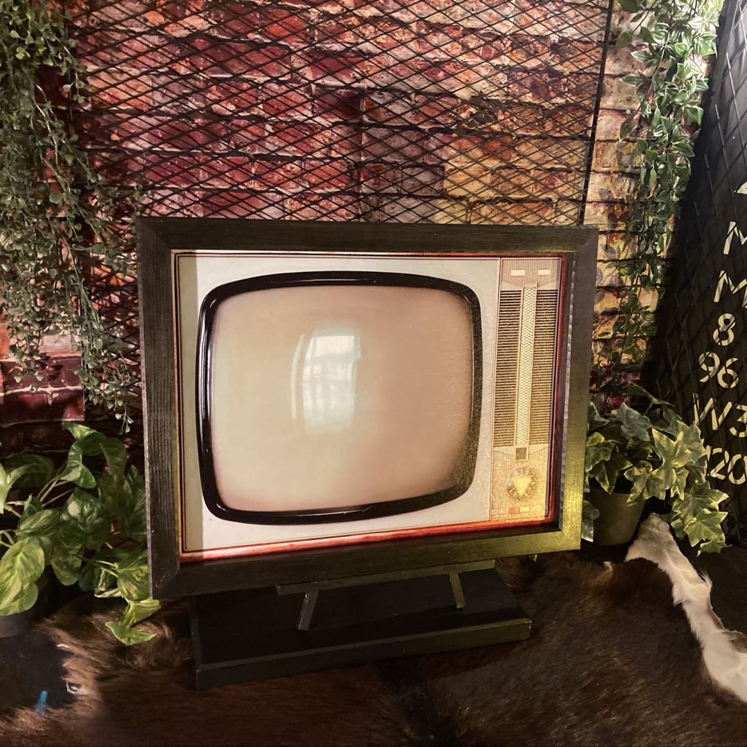 楽天市場】ブラウン管テレビの通販