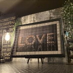 INDUSTRIAL ART!! ｢LOVE｣!! アイアンフェンス付き大型アート(額付き)!! ブルックリン 男前インテリア NEWYORK アメリカンビンテージ BROOKLYN インダストリアルインテリア industrial バスロールサイン ガレージインテリア 店舗什器 店舗展示品 DandyLifeSpace