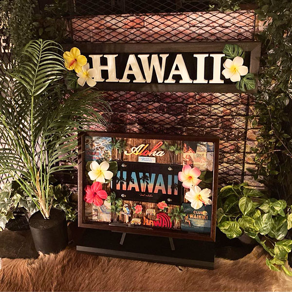 HAWAII COLLECTION BOX!! A[gt[Ver.5!! EGXgR[XgCeA }CeA JtFCeA AJmX^W[ C݃CeA California TCv[g AJre[W A[gpl JtHjA DandyLifeSpace