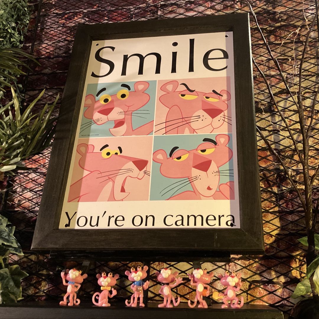 ���ò���PINK PANTHER�ե����奢�ͷ������åɥ����ȥѥͥ뎣Ver.1 �֥�å���󥹥����� ��������ƥꥢ �ߥåɥ������꡼�������� NEWYORK...