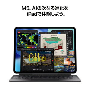 ����̤���� Apple iPad Pro 11����� Wi-Fi 256GB MDWL4J/A ����С�2025ǯ��ǥ� 4549995616613