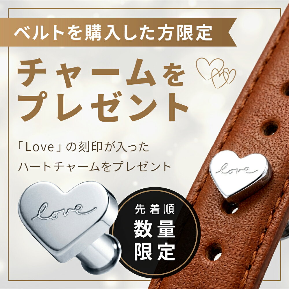 腕時計 交換ベルト 替え レディース ダニエルウェリントン DW Petite Collection S...