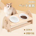 【5/6まで100円OFFクーポンあり】猫 