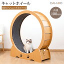 【4/30までクーポンで最大16%OFF!!】キャットホイール ルームランナー 猫 ランニングホイール キャットウォーク 回転 おもちゃ 木製 猫ホイール 室内...