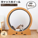 【SS期間P5倍+クーポンで16%OFF!!】キャットホイール ルームランナー 猫 ランニングホイール キャットウォーク 回転 おもちゃ 木製 猫ホイール 室内運動用 自走式 マット付き 犬猫のおもちゃ 運動不足 ストレス解消