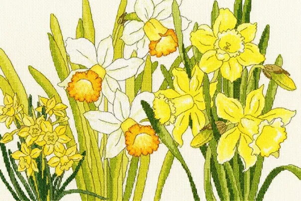 Bothy Threadsクロスステッチ 刺繍キット 【Daffodil Blooms / 水仙の花】 イギリス XBD10 中級者向き アイーダ