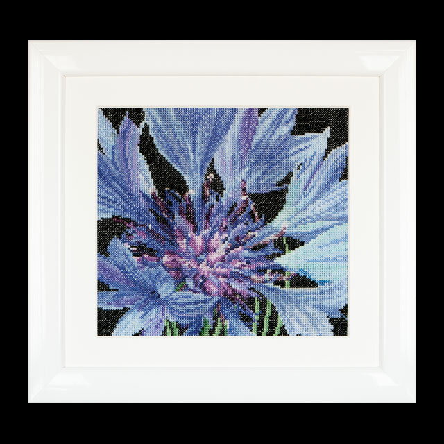 ˥å奨֥꡼㤨֥ƥ٥̡롡ƥåɽå CornflowerԡԸ 󤻥åȡǼ30-90١ˡפβǤʤ4,510ߤˤʤޤ