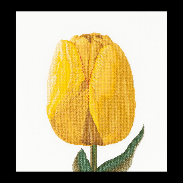 テア　グーベルヌール　クロスステッチ刺繍キット 【Yellow hybrid tulip】中級者ー上級者向き ☆お取り寄せキット（納期は30-90日程度）