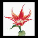 テア グーベルヌール クロスステッチ刺繍キット 【Red / Orange Lily flowering tulip】中級者ー上級者向き ☆お取り寄せキット(納期は30-90日程度)(3)