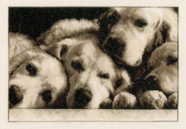 ベルバコ クロスステッチ 刺繍キット 【Labradors 】 動物 ベルギー 輸入ししゅうキット