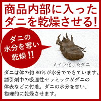 ダニを乾燥退治