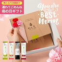 遅れてごめんね 母の日 美容健康応援! 国産 酵素ドリンク 美味しい ポケット優光泉 ギフトセット(個包装6包×2箱)食事代わり 植物性発酵飲料 栄養補給 カー...