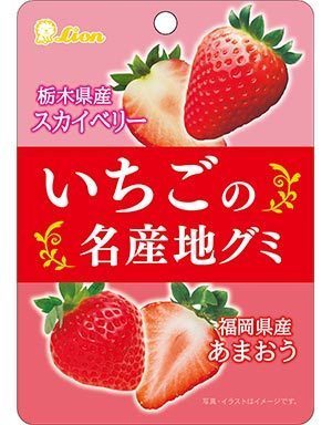 いちごの名産地グミ10袋★栃木県産スカイベリーと福岡県産あまおう2種のいちごを食べ比べできるグミ♪★グミの形は可愛いハート型でもちふわ食感が楽しいストロベリーグミ♪