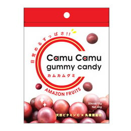 絹輝肌に薬用美容液 ホワイトニングエッセンスW 送料無料♪★紫外線季節の気になるピンポイントケアに♪★シルク生まれのピュアセリシン・ビタミンC誘導体・アルブチン配合♪★シミ・くすみ・エイジングケア対策に♪プロビタC12包&カムカムグミ進呈中♪