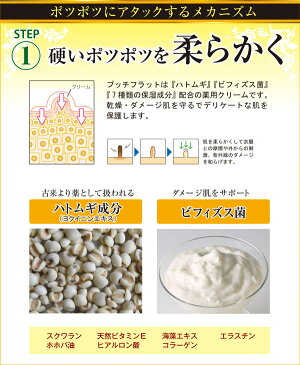 プッチフラットクリーム 医薬部外品★気になるぽつぽつ対策にハトムギエキス&ビフィズス菌配合♪