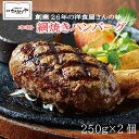 お試し 網焼き ハンバーグ 250g 2個入 500g ギフト お取り寄せ はんばーぐ お試し 冷凍 洋食だんらんや