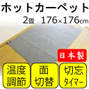 【送料無料】三京 ホットカーペット 2畳 176×176cm 電気マット 電気カーペット ホットマット リビング ラグ 敷物 あったか 暖房 電気暖房 国産 日本製 大判 居間 ごろ寝 昼寝 床暖房 ヒーター 足先 ごろ寝マット 足元 本体
