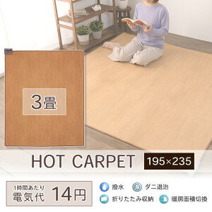 ホットカーペット フローリング調 3畳 195×235cm 日本製 木目調 防水　カーペット 電気カーペット 暖房 あったか 足元 ホカペ リビング 居間 ダイニング テーブル ラグ 3畳タイプ ホットマット ウッド調 節電 エコ 床暖房 千住 本体