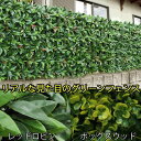 グリーンフェンス　100×100cmタイプ　2枚組　　　　グリーンカーテン　フェイクグリーン　葉っぱ　目かくし　目隠し　シェード　ベランダ　屋外　手入れ不要　設置簡単　テラス　観葉植物　エクステリア　園芸　ガーデニング