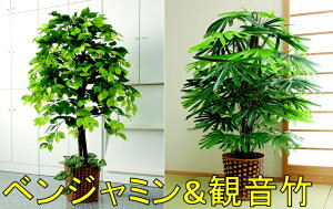 【7月上旬入荷予定】人工観葉植物 ベンジャミン 観音竹 2点セット 観葉植物 セット 大型 大きい 事務所 おしゃれ 樹木 インテリア フェイク グリーン フェイク 部屋 お手入れ不要 室内 ギフト 贈り物 モダン 目隠し 縁起物 プレゼント 会社 オフィス 雑貨 鉢植え 備品