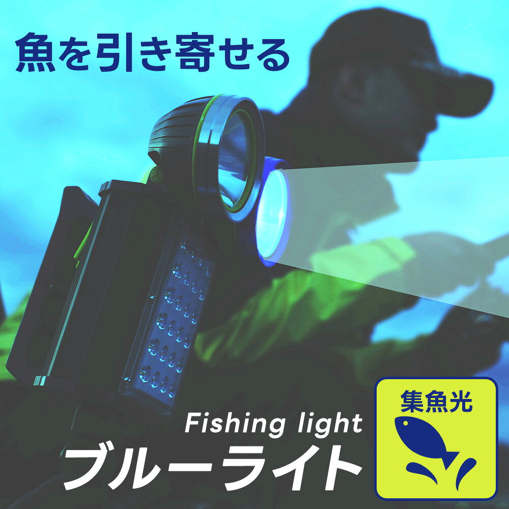 ライト ハンディ 多機能 アウトドア 釣り フィッシング レジャー 防災 防犯 集魚 照明 投光器 ライト 青色 充電式 USB 懐中電灯 充電ライト 光 ポータブルライト 充電池 LEDライト 持ち運び 緊急事態 海 夜釣り dantotsu-online-10002772 ダントツonline サンプル画像3