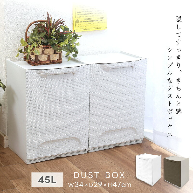 【数量限定!アウトレットセール】 ArtPlast ゴミ箱 45L ラタン調 スタッキング ダストボックス キッチン リビング 引き出し収納 壁面収納 薄型 シンプル インテリア アートプラスト アウトレット B品 [2]