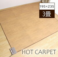 ホットカーペット フローリング調　3畳　195×235cm　 木目調 防水　カーペット 電気カーペット 暖房 あったか 足元 ホカペ リビング 居間 ダイニング テーブル ラグ 3畳タイプ ホットマット ウッド調 節電 エコ 床暖房 日本製