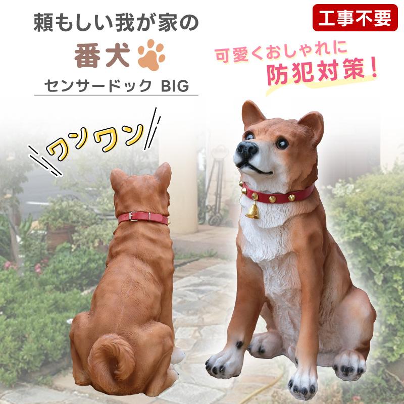 庭 置物 犬 ガーデンオーナメント 吠える ビッグリキ 本物そっくり 明暗センサー 感知式 犬型 動物 リアル ワンワン 柴犬 防犯センサー 鳴声 わんこ イヌ 防犯 ドッグ 園芸 おすわり ガーデン雑貨 オブジェ ガーデニング 番犬 玄関