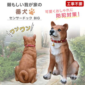 庭 置物 犬 ガーデンオーナメント 吠える ビッグリキ 本物そっくり 明暗センサー 感知式 犬型 動物 リアル ワンワン 柴犬 防犯センサー 鳴声 わんこ イヌ 防犯 ドッグ 園芸 おすわり ガーデン雑貨 オブジェ ガーデニング 番犬 玄関