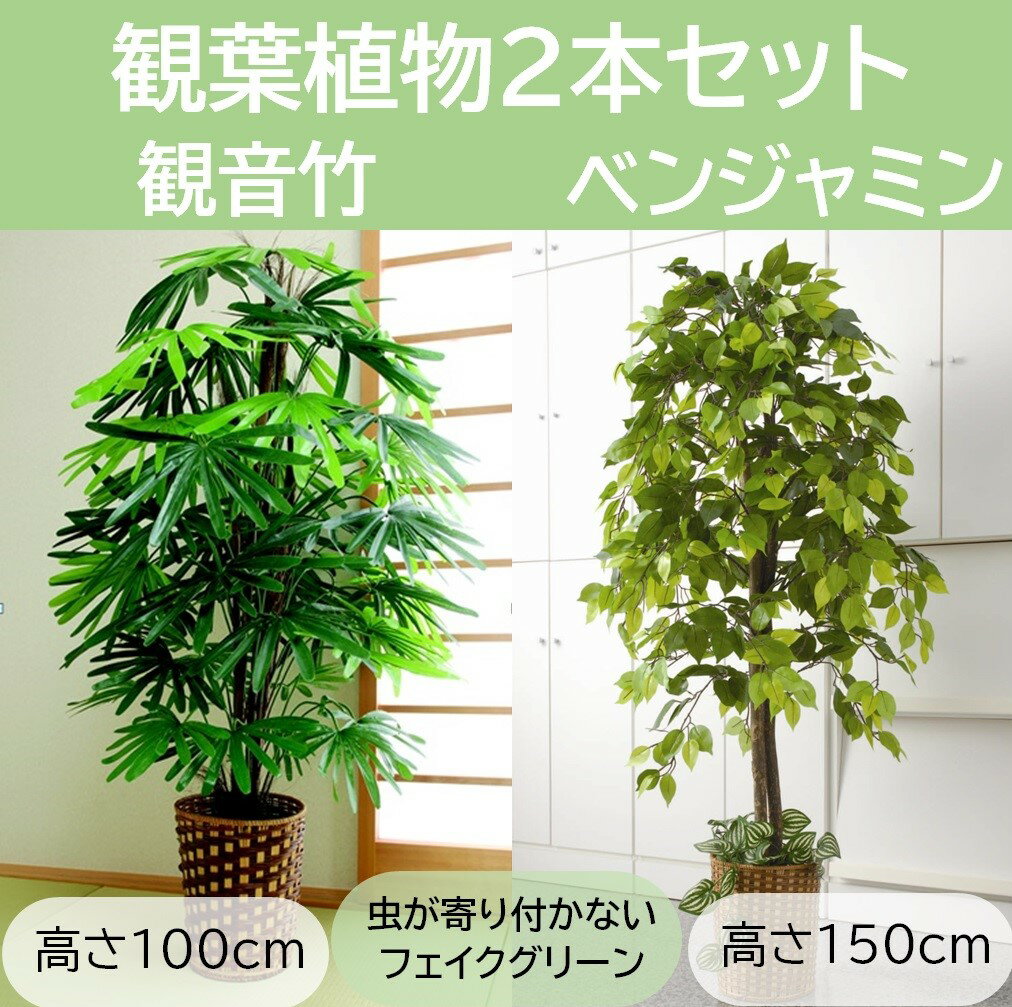 虫が付きにくい｜インテリアをおしゃれに！育てやすい観葉植物のおすすめは？