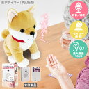 時間だよ!おしらせとうばん 忘れもの防止タイマー 本体 アラーム アラート 通知 介護 敬老の日 セーフティ ヘルスケア 群馬電機