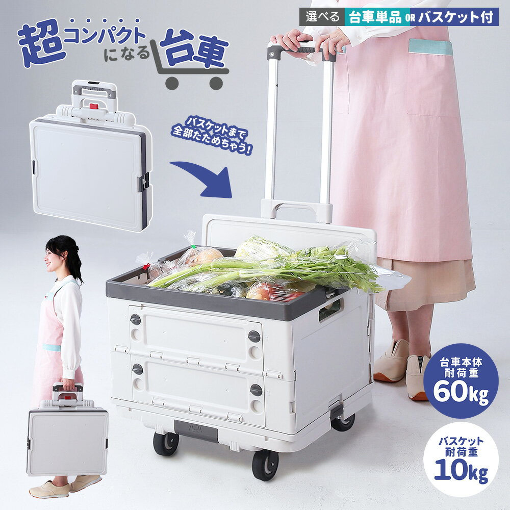 折りたたみ 台車 専用コンテナ 家庭用 コンパクト 耐荷重60kg キャリーカート ハンドトラック あす楽