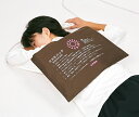 【ポイント11倍!!】遠赤外線 温熱治療器 コスモパックCL型(コントローラー付き)温熱療法 腰痛 肩こり 冷え症 身体の冷え【送料無料】
