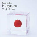 ワイルーロ 幸運のお守り 赤い実 Sola cube 4cm 宙 ソラキューブ 魔除け おしゃれ かわいい 北欧 ナチュラル シンプル インテリア オブジェ 植物 標本 透明 小物 クリア プレゼント ギフト ウサギノネドコ