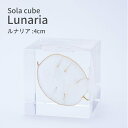 ソラキューブ ルナリア 月に願いを Sola cube 4cm 宙キューブ オブジェ 植物 標本 レジン おしゃれ かわいい 北欧 ナチュラル シンプル インテリア 小物 クリア プレゼント ギフト ウサギノネドコ