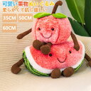★期間限定タイムセール★果物ぬいぐるみ可愛い部屋飾り子供男の子女の子プレゼントクリスマ誕生日抱き枕手を温める リンゴ スイカ(3)
