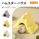 【期間限定! 2730円→2230円】ハムスター ハウス ハムスターベッド 陶器 セラミック製 涼感 ポケボール 小屋 夏対策 ひんやり ベッド おへや 涼しい...