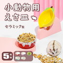 【期間限定! 2480円→1730円】ハムスター 小動物用 水飲み 餌入れ 陶器 ハリネズミ えさいれ ケージ えさ皿 設置簡単 掃除簡単 セット ジャンガリア...