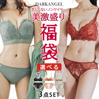 <1セット800円!> ダークエンジェル福袋 ブラ&ショーツセットが3点入る福袋 福袋 ブラジャー 下着 レディース セット ブラ ショーツ 2022 ノンワイヤー 脇高 脇肉 補正 谷間 盛れる 育乳 美胸 下着 バストアップ セクシー