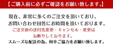 マスク 在庫あり 【 マスク 51枚入り 】 ネコポス送料無料（袋or箱いづれか選択不可） ■予約2■5月中旬〜発送 三層構造・不織布マスク 使い捨てマスク ウイルス飛沫 花粉 PM2.5 風邪 中国製 大人 男女兼用 【春 新作】【2020年3月新作】DarkAngel/ダークエンジェル