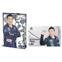 ダーツライブカード ダーツライブプレイヤーグッズ 第四弾 Paul Lim選手 メタルプレート付き