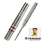 ダーツ バレル TRiNiDAD PRO Gomez 12 2BA STEEL トリニダード プロ ゴメス12 山田勇樹 選手考案モデル (メール便OK/5トリ)