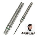 ダーツ バレル TRiNiDAD PRO MARGARITO 武田樹 選手考案モデル トリニダード プロ マルガリート(メール便OK/5トリ)