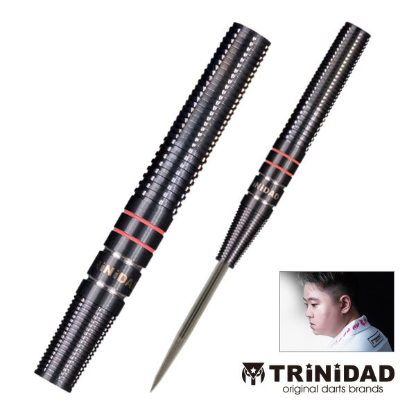 ダーツ バレル TRiNiDAD PRO HUGO Hugo Leung 選手モデル トリニダード プロ ヒューゴ (メール便OK/5トリ)