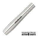 ダーツ バレル DYNASTY ASTRA DARTS Rakkaus Plain 粕谷晋 選手モデル アストラダーツ ラッカウス プレーン (メール便OK/5トリ)