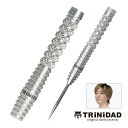 ダーツ バレル TRiNiDAD PRO EDER5 吉野洋幸 選手モデル トリニダード プロ エデル5 (メール便OK/5トリ)