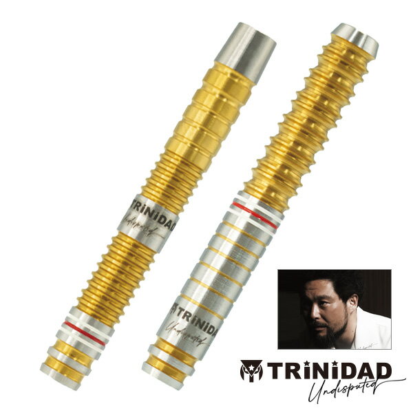 ダーツ リカルドレイジー 浅田斉吾 松吉輝宗 リカルド レイジー TRiNiDAD RICARDO LAZY トリニダード ダーツ バレル