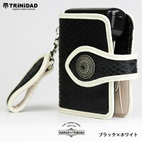 ダーツケースTRiNiDADトリニダード山田勇樹選手レプリカダーツケース
