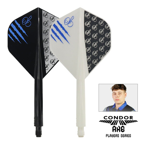 ダーツ フライト CONDOR AXE THE MASTER コンドルアックス ザ・マスター