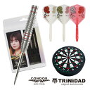 ダーツセット TRiNiDAD CONDOR 近藤静加選手セット STEEL